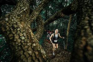 BIB: 
                            <button type="button" onclick="openModal(25698172)" class="btn btn-primary btn-sm float-right btn-popup" data-toggle="modal" data-target=".modal-high-quality">
                        <i class="fas fa-shopping-cart"></i> Add to Cart
                    </button>
                                            <button type="button" onclick="isThisMe(25698172, true)" class="btn btn-success btn-sm float-right btn-popup btn-isme hidden" data-toggle="tooltip" data-placement="bottom" title="นี่คือรูปของคุณใช่ไหม คลิกที่นี่เพื่อเอาเข้าอัลบั้ม">
                        <i class="fas fa-plus"></i> Add to album
                    </button>
                    <button type="button" onclick="isThisMe(25698172, false)" class="btn btn-warning btn-sm float-right btn-popup btn-isnotme hidden">
                        <i class="fas fa-ban"></i> Remove from album
                    </button>